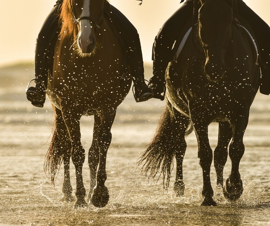 Passeggiate a cavallo